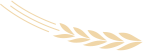 _1