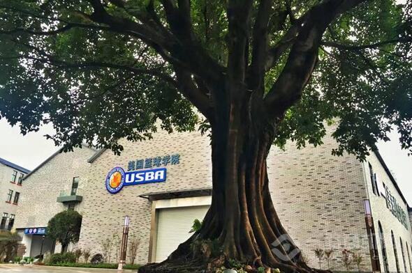 通过哪些训练方法可以有效提高篮球耐力？_1